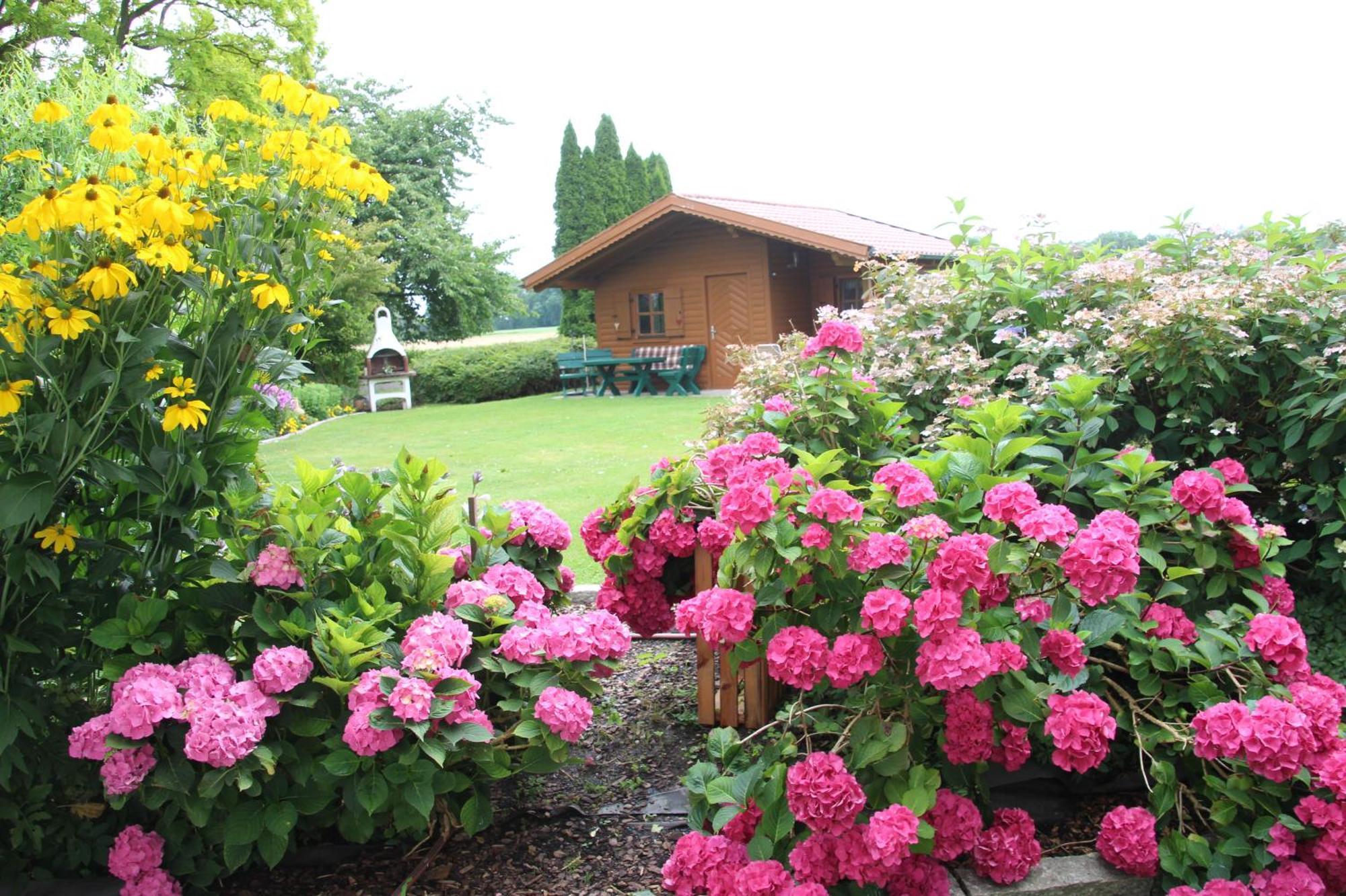 Appartement Erwachsenen Naturidyll - Der Wieserhof *
