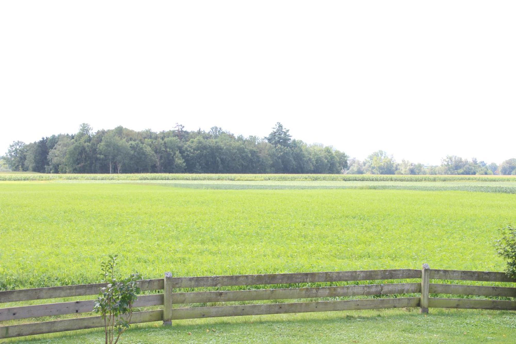Erwachsenen Naturidyll - Der Wieserhof *